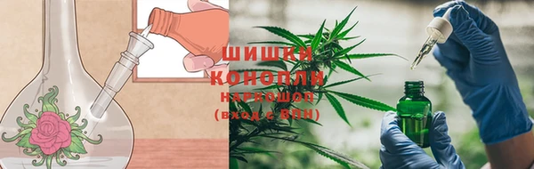 прущие крисы Надым