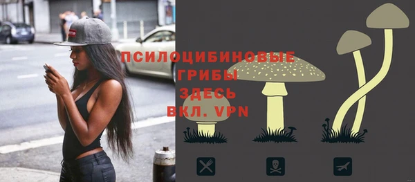 прущие крисы Надым