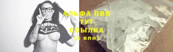 прущие крисы Надым