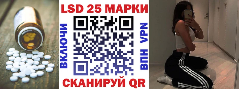дарнет шоп Шелехов Лсд 25 экстази ecstasy