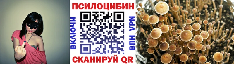 купить наркотики цена  Шелехов  Псилоцибиновые грибы мицелий 